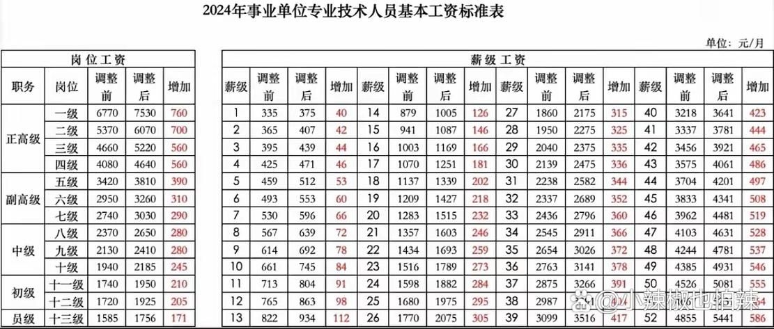 2024年工资调标