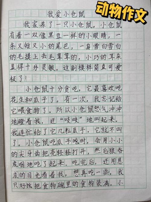 快乐的小老鼠300字作文