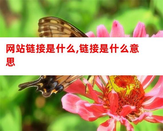 链接是什么意思
