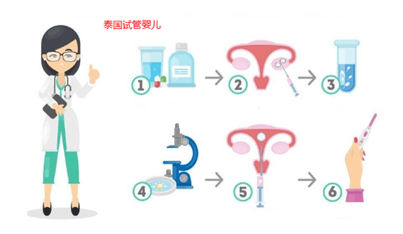 泰国试管 择恒嘉国际V选