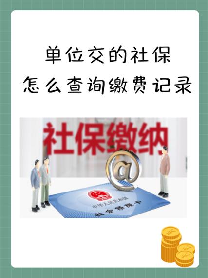 医保专网怎样查帐号