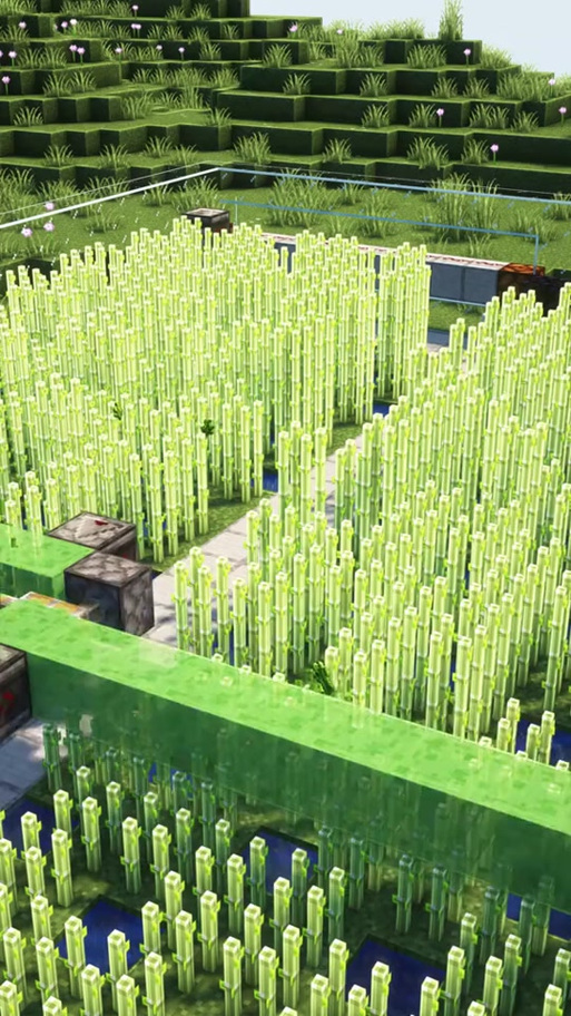 我的世界种植甘蔗技巧截图3