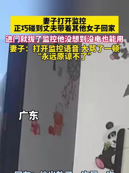 老婆把监控拔了是怕什么呢