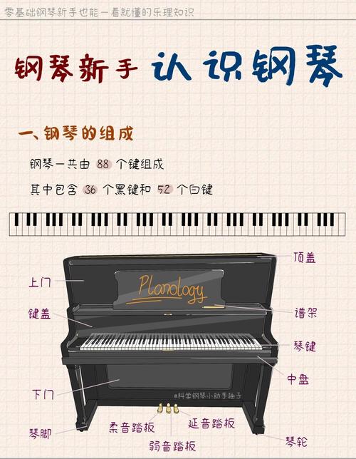 钢琴上的黑键什么意思