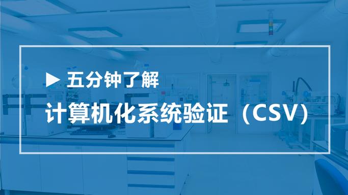 CSV验证