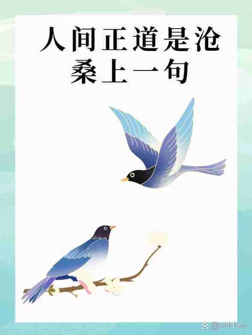终极版的上一句是什么
