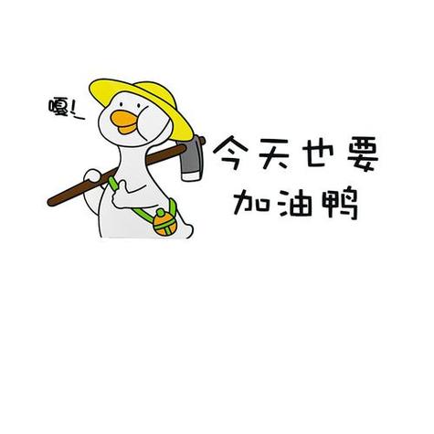 加油鸭资源