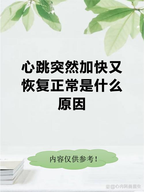 心跳忽然快了几下又恢复正常