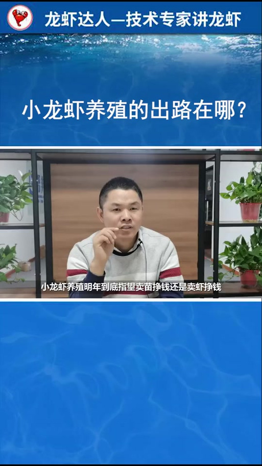 专家预测明年小龙虾前景