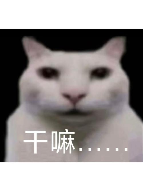 ipad边上三个点是干嘛的
