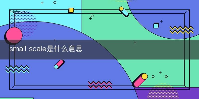 scale什么意思