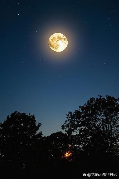 一个美好的夜晚