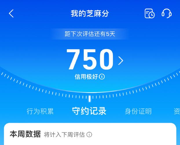 芝麻信用芝麻粒1000