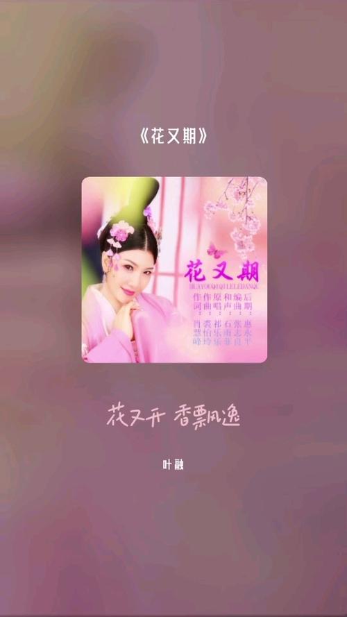 花儿视频如何下载