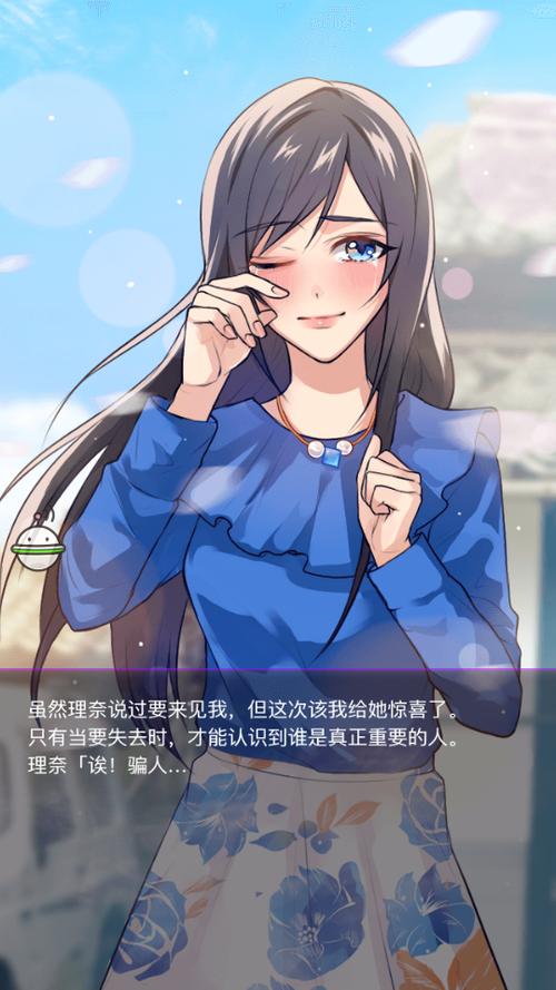 秘密关系破解版