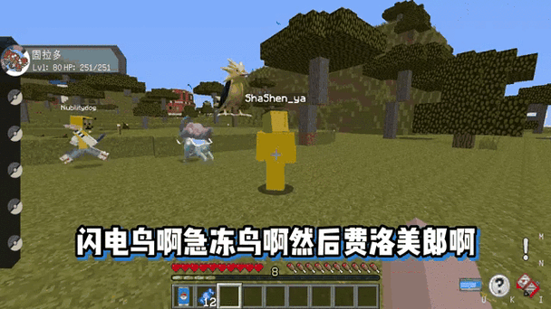 电脑上怎么玩我的世界神奇宝贝截图2