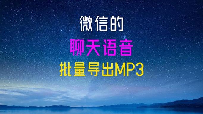下载语音导出软件mp3截图2