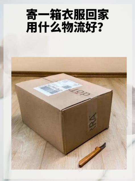 哪个快递公司可以寄活物截图2