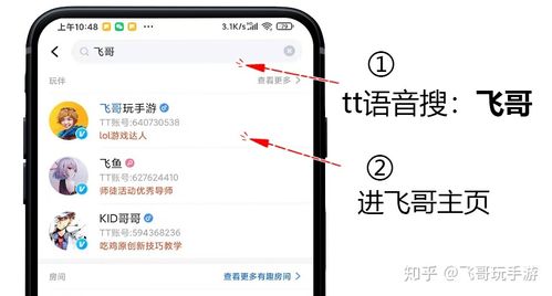 tt语音助手领皮肤
