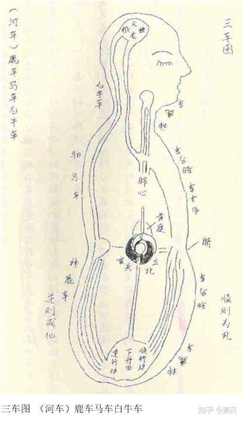 道家大搬运术口诀