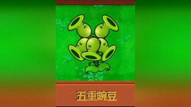 五个头的豌豆射手