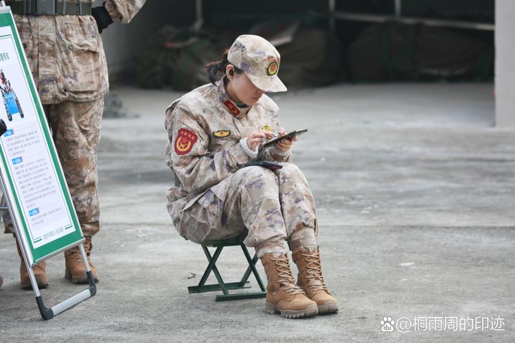 我在异能部队做后勤夜不归期