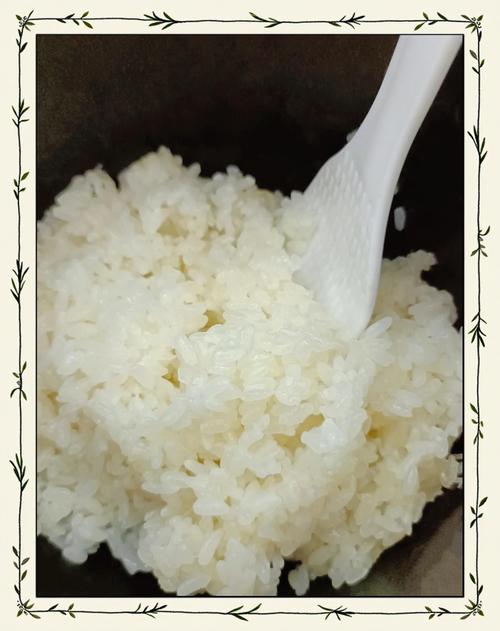 怎样蒸米饭好吃又香