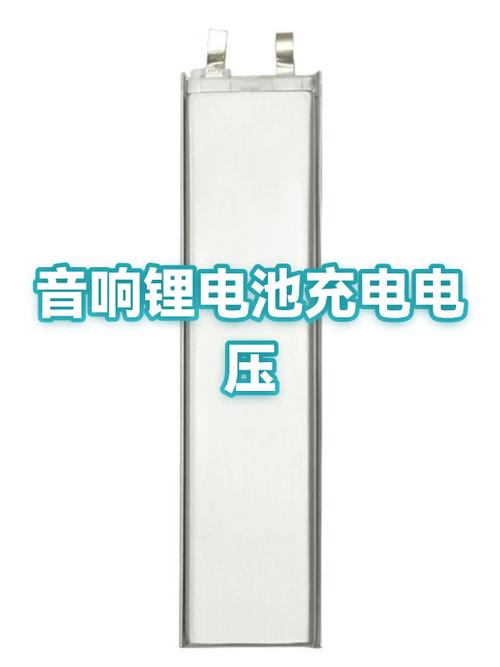 为什么音响一直充不满电截图2