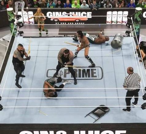 wwe摔跤比赛视频截图3