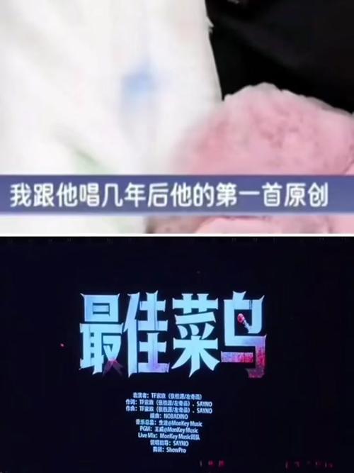 最佳菜鸟歌词打印版