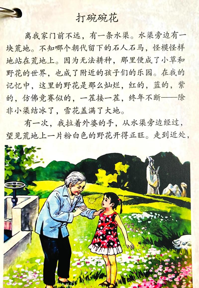 八零年代之娇花暮见春深