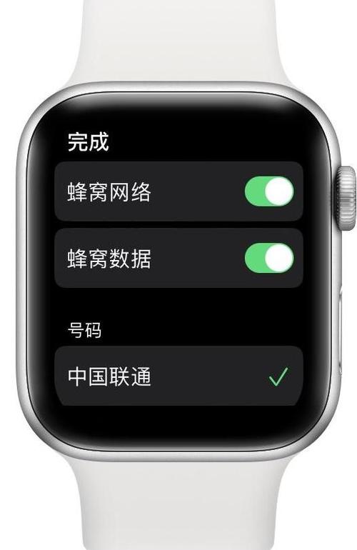 苹果手表蜂窝网络状态无连接