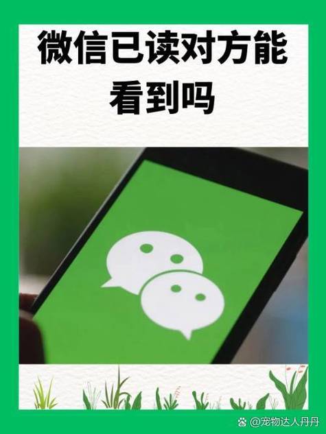 如何知道对方有没有看你的信息
