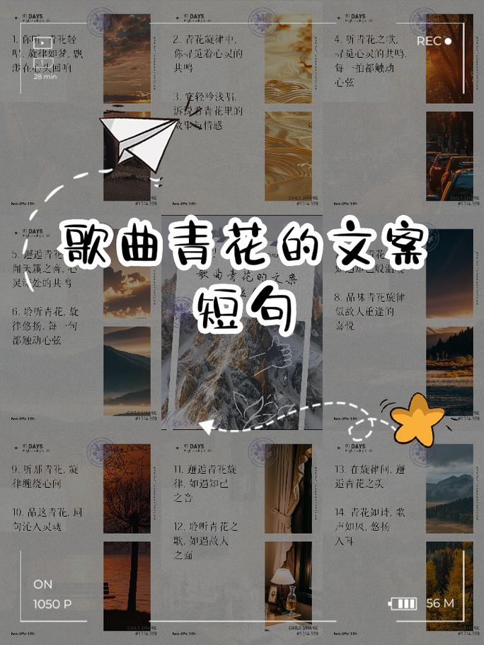 青花最走心的文案