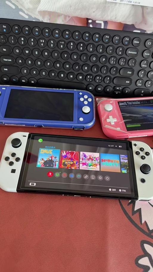破解switch玩za联网进化