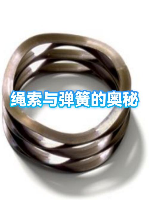绳子和弹簧相连剪断绳子截图3