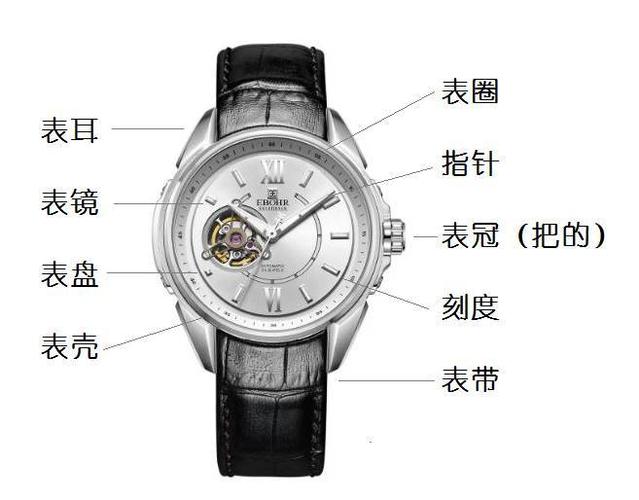 表带的各个部位名称截图2