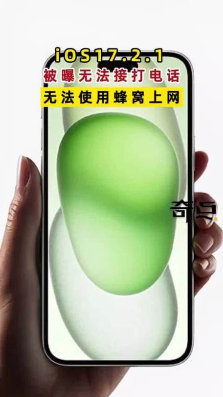 苹果里有些APP不能改蜂窝截图2