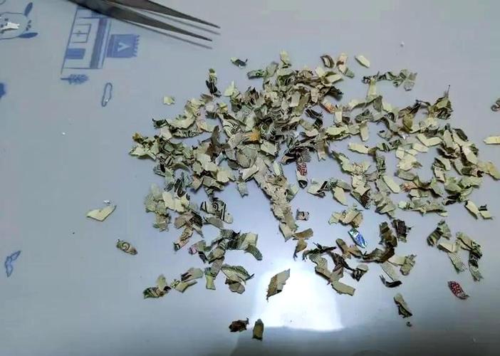 纸币碎了怎么办图标