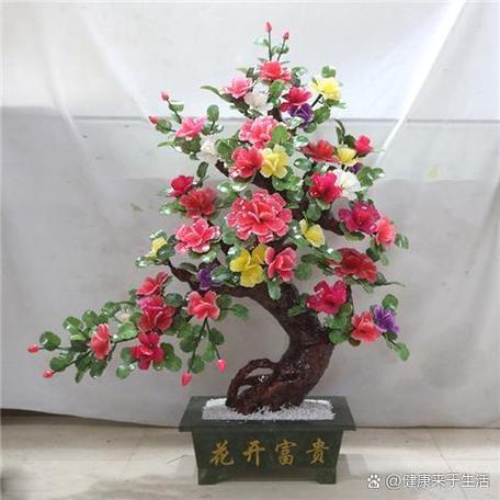 客厅最建议买的三个花