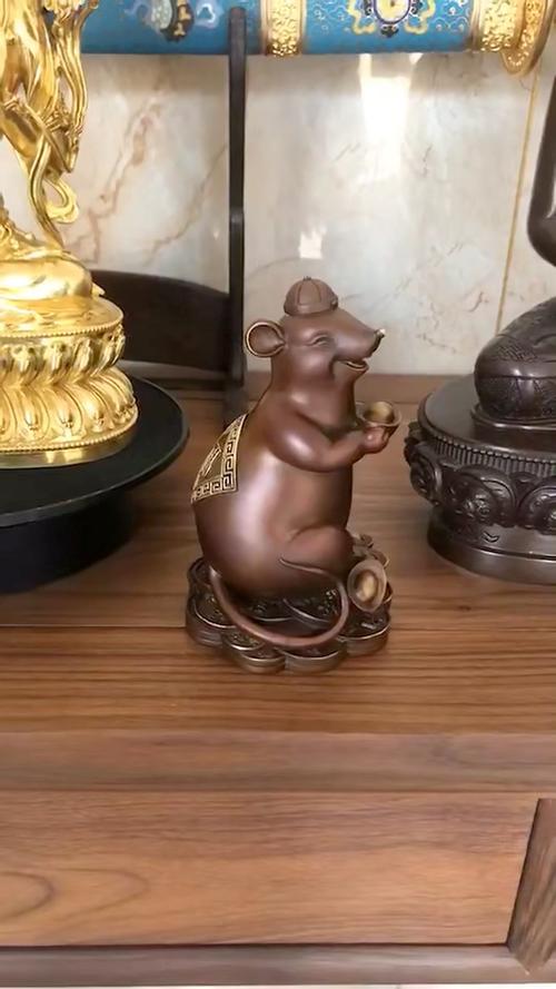 老鼠钱图片