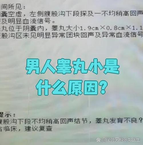 男性睾丸小是什么原因