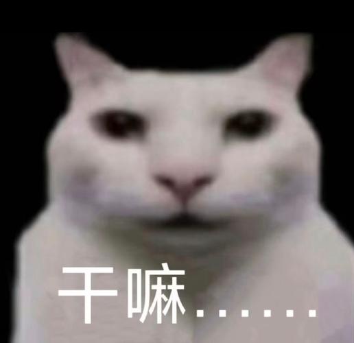 oppor11悬浮窗是干嘛的