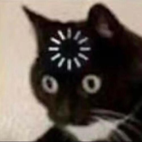 黑色的猫表情包