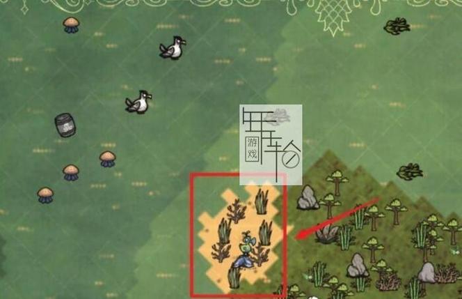 饥荒渡渡鸟怎么抓回家截图2
