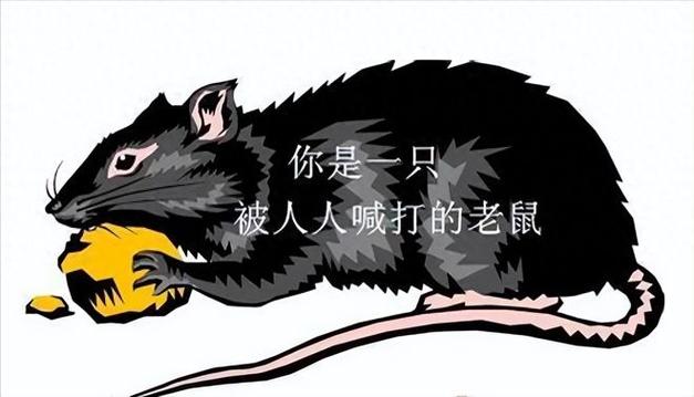 我爸妈说我老鼠过街人人喊打
