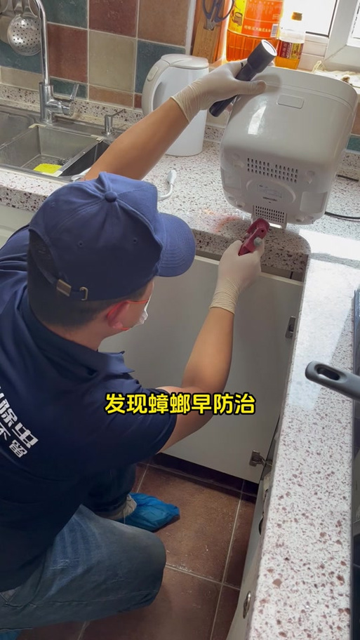 蟑螂畏光还是趋光
