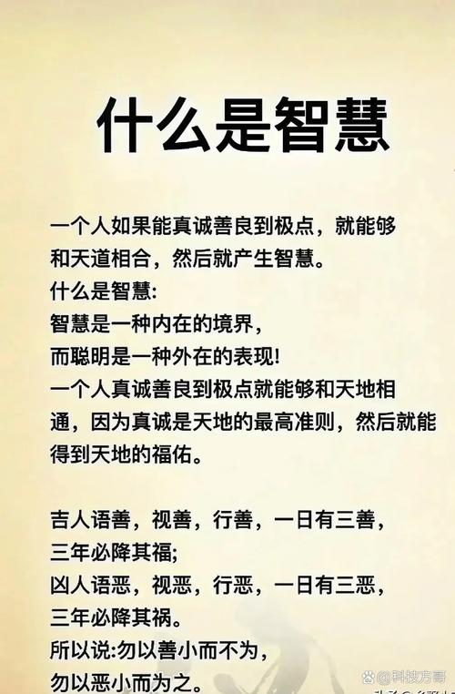 智慧是靠什么来