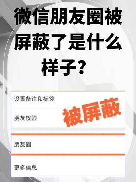朋友圈屏蔽解除后可以重新看到