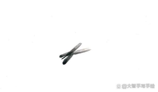淡画书墨n